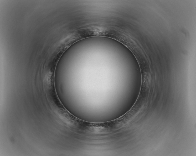 X0000110900650200906181323
