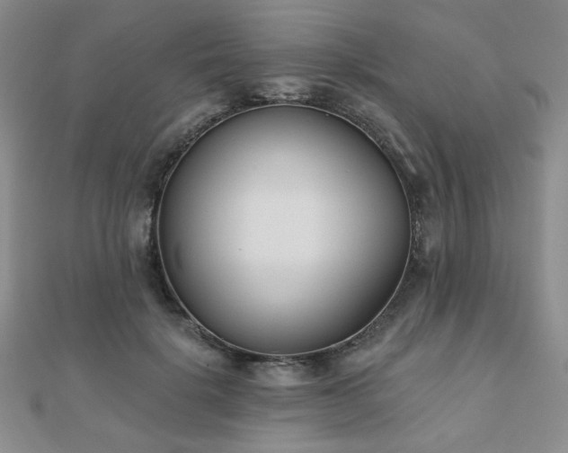 X0000110900652200906181323