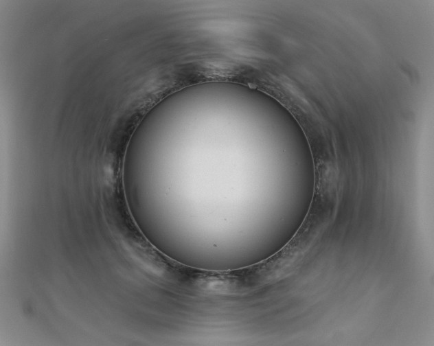 X0000110900655200906181323