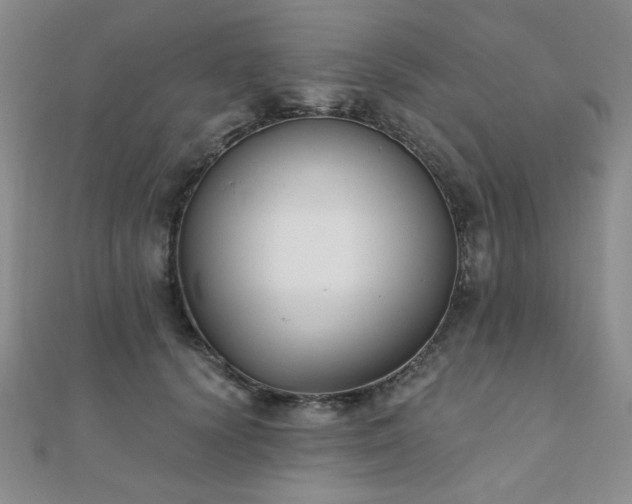 X0000110900656200906181323