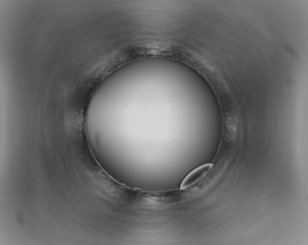 X0000110900657200906181323