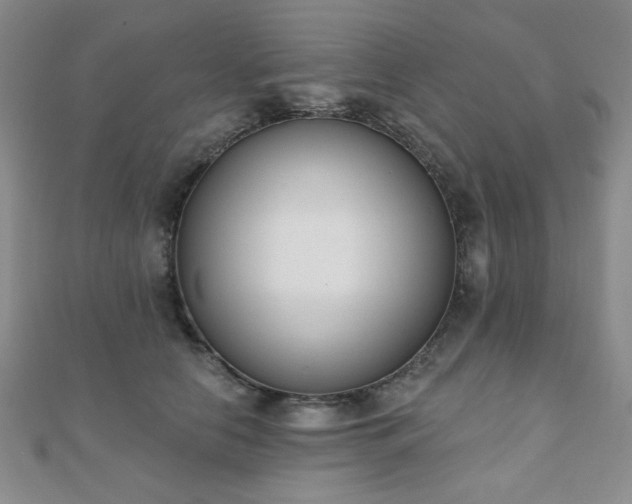 X0000110900658200906181323