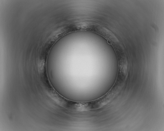 X0000110900660200906181324