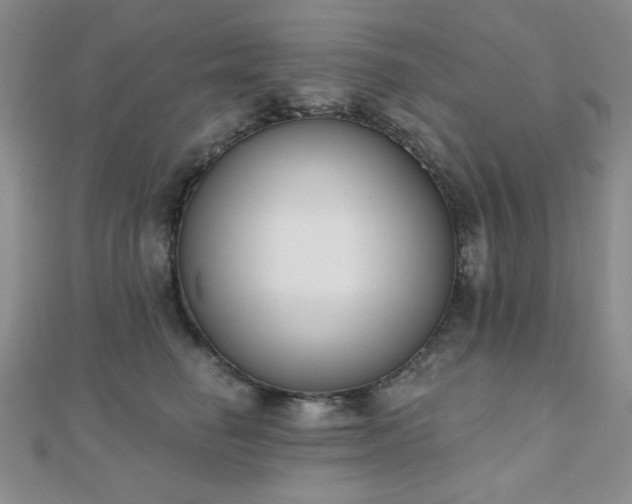 X0000110900662200906181324