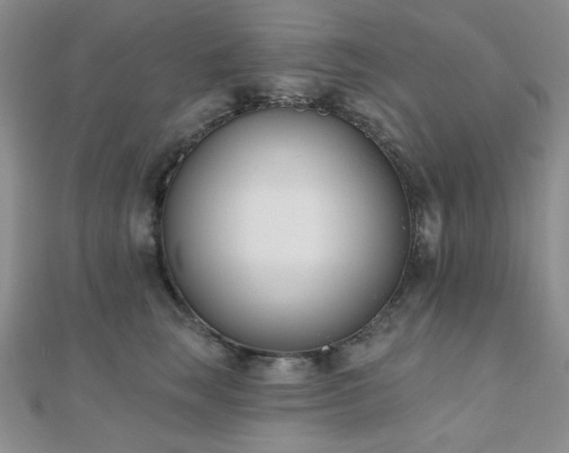 X0000110900663200906181324