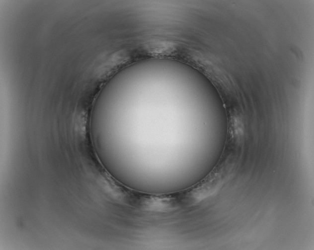 X0000110900664200906181324