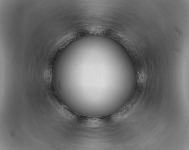 X0000110900666200906181324