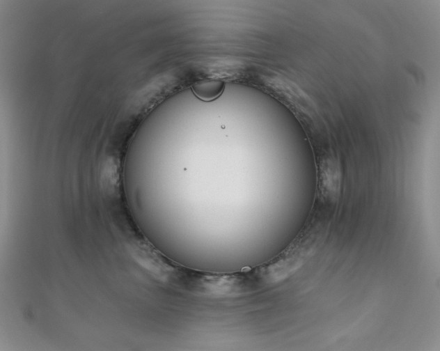 X0000110900667200906181324