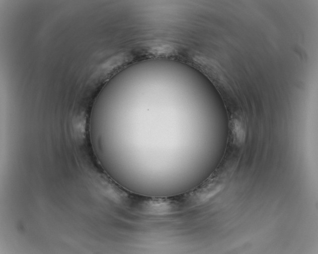 X0000110900668200906181324