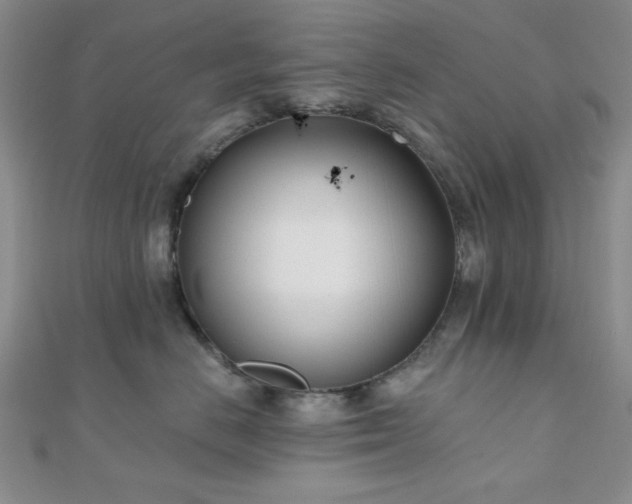 X0000110900670200906181324