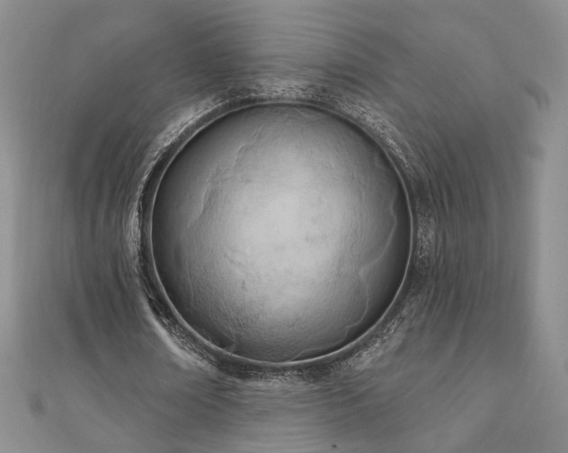 X0000110900674200906181323