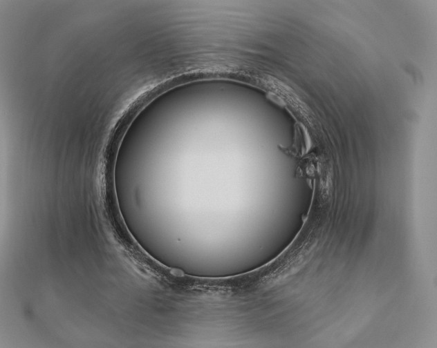 X0000110900676200906181323