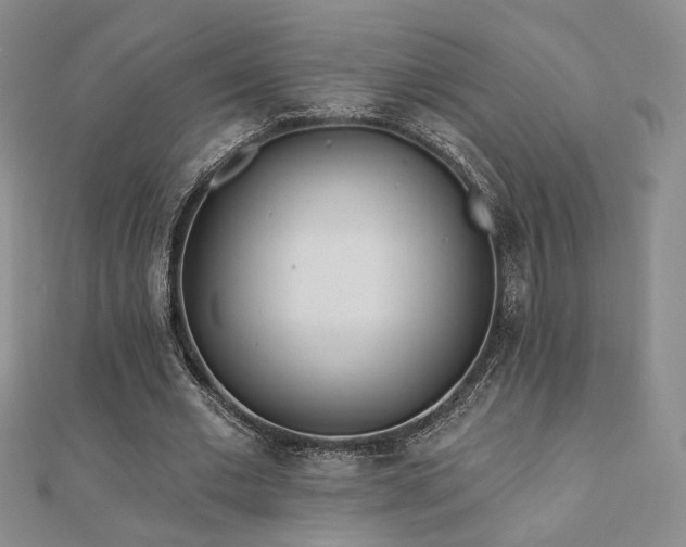 X0000110900677200906181323