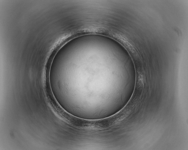 X0000110900678200906181323