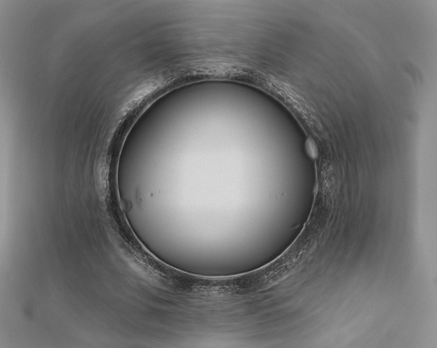 X0000110900679200906181323
