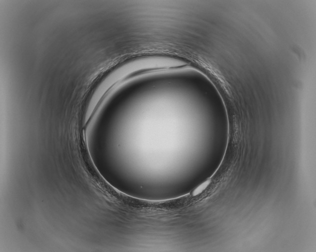 X0000110900681200906181323