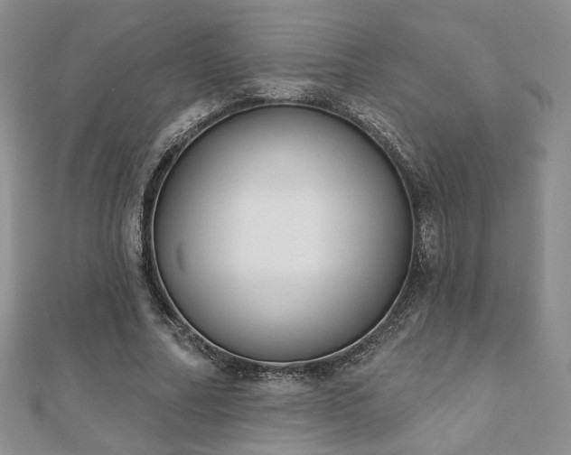 X0000110900682200906181323