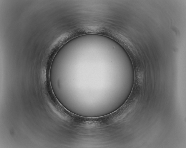 X0000110900686200906181323