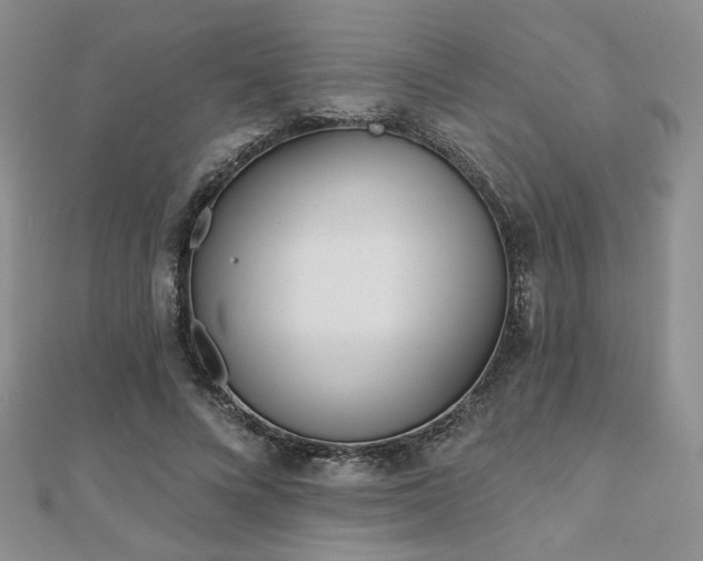 X0000110900688200906181323