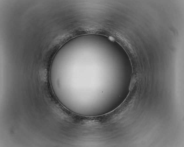X0000110900689200906181323