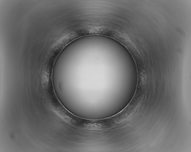 X0000110900691200906181323