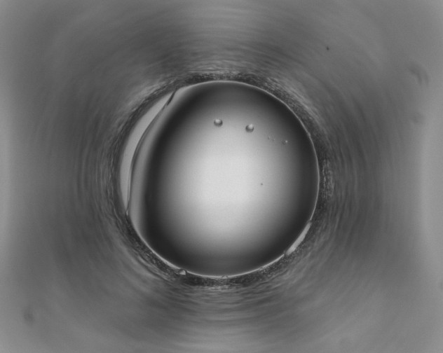 X0000110900692200906181323