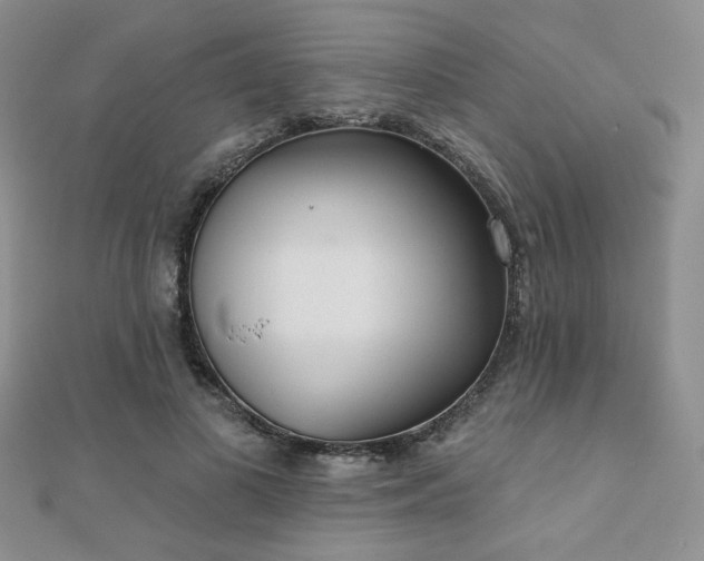 X0000110900693200906181323