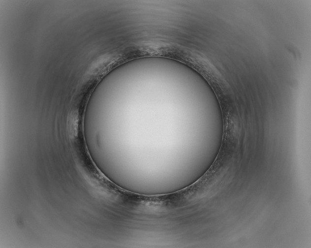 X0000110900694200906181323