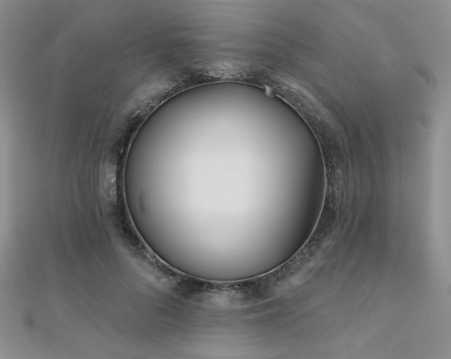 X0000110900696200906181323