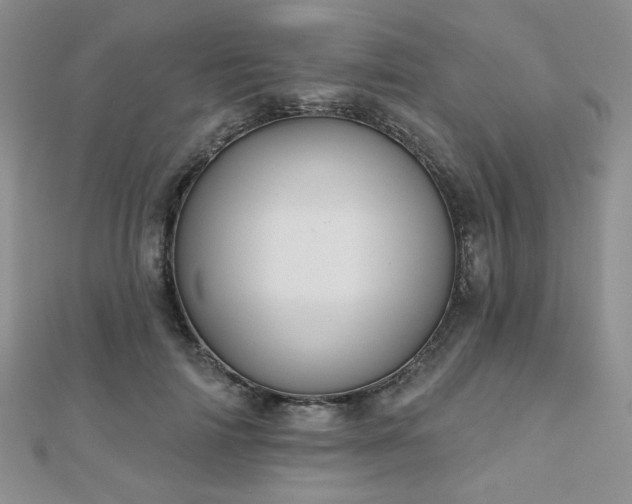 X0000110900698200906181323