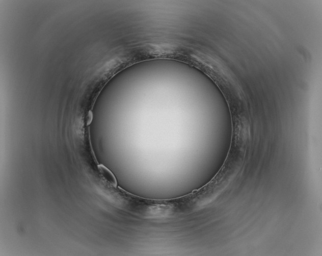 X0000110900700200906181323