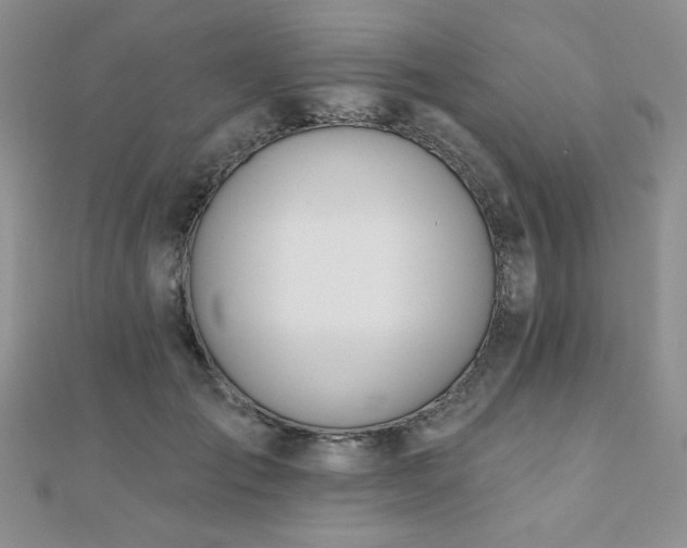 X0000110900701200906181323