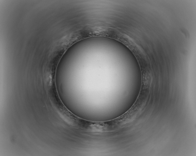X0000110900703200906181323