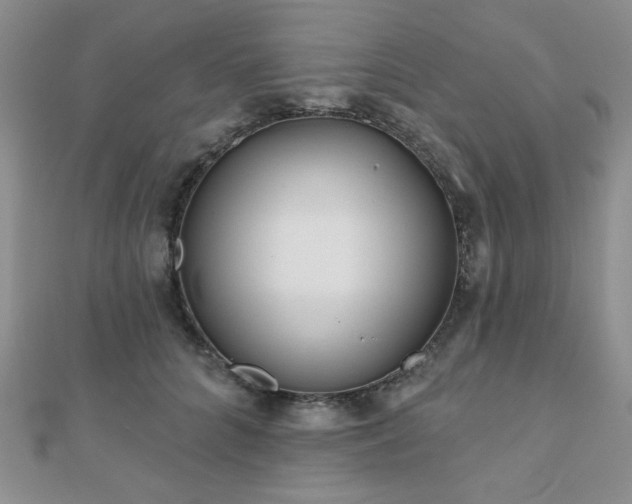 X0000110900704200906181323