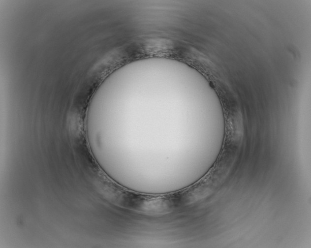 X0000110900705200906181323
