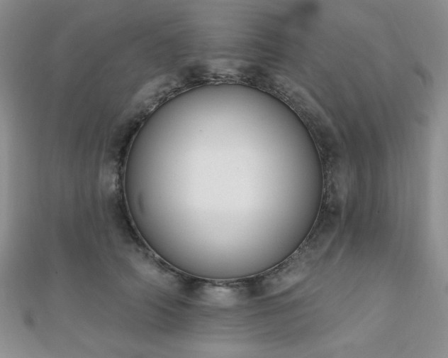 X0000110900706200906181323