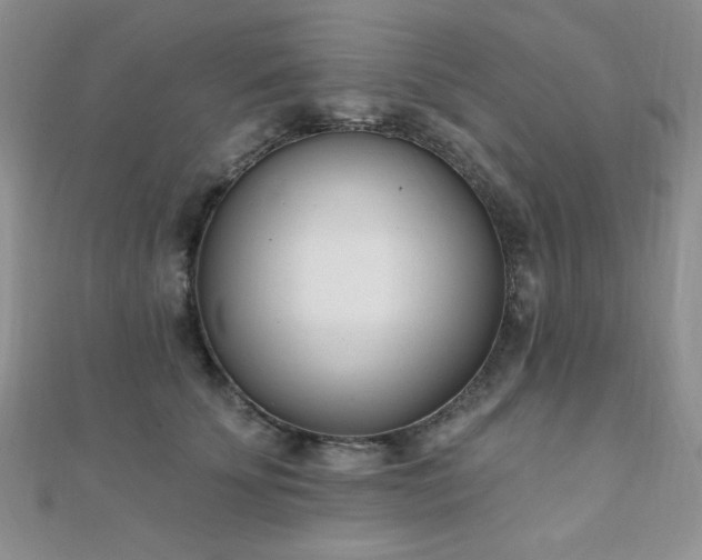 X0000110900707200906181323