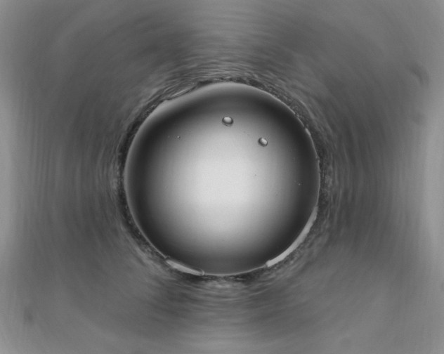 X0000110900708200906181323