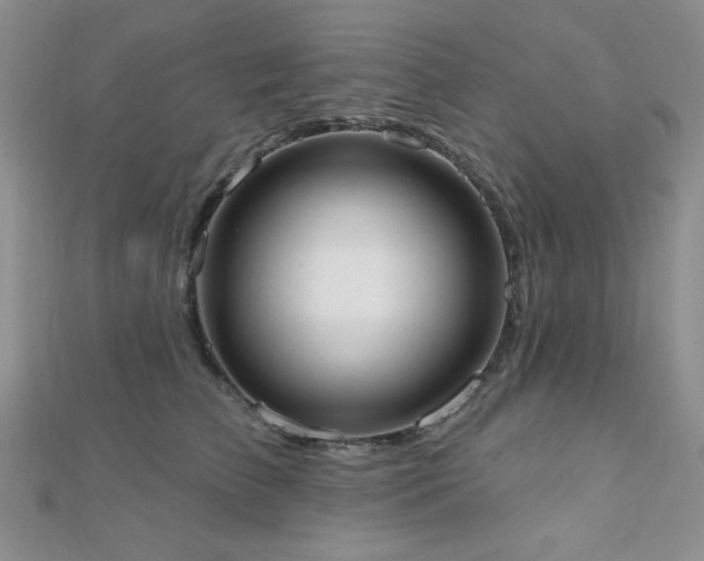 X0000110900709200906181323