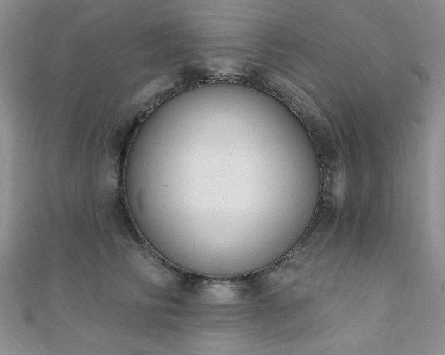 X0000110900710200906181323