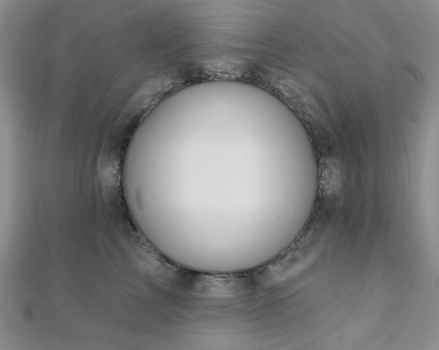 X0000110900713200906181323