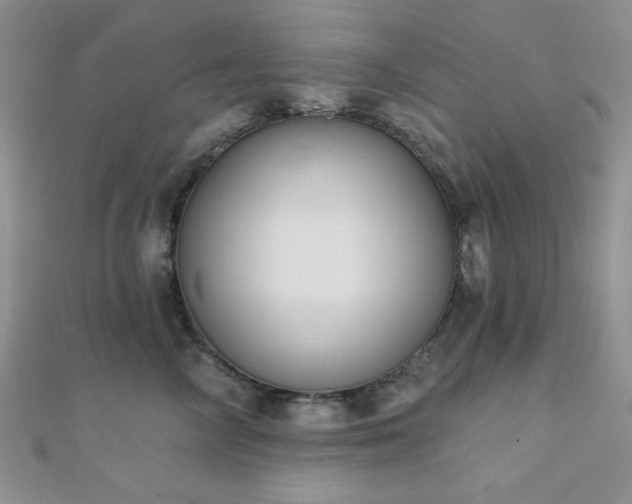 X0000110900714200906181323