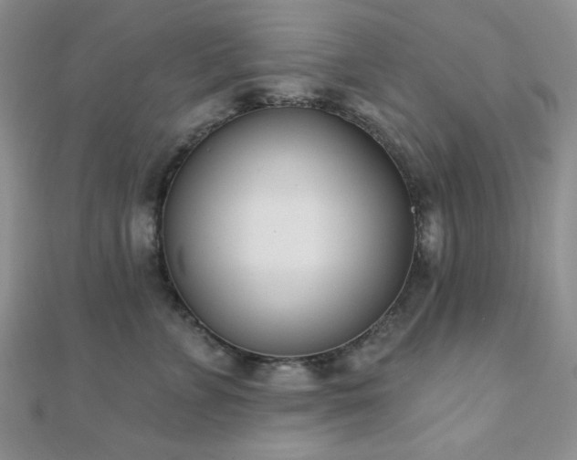 X0000110900715200906181322