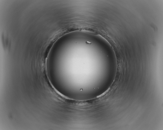 X0000110900716200906181322
