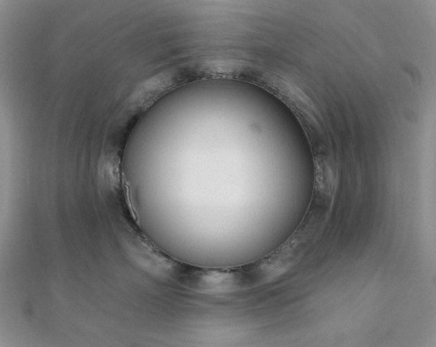 X0000110900718200906181322