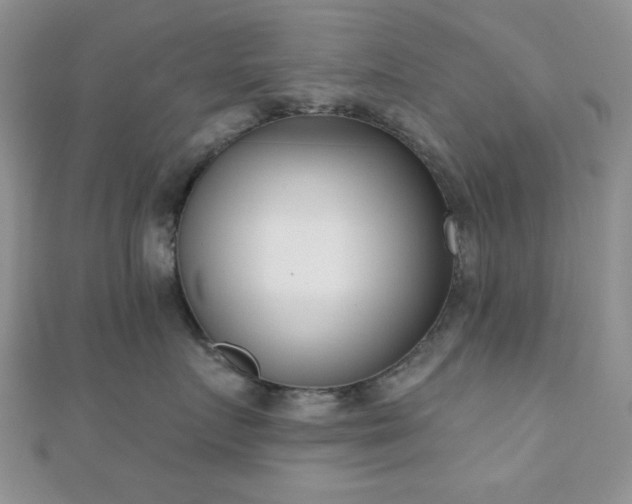 X0000110900719200906181322