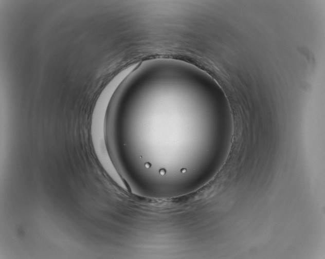 X0000110900720200906181322