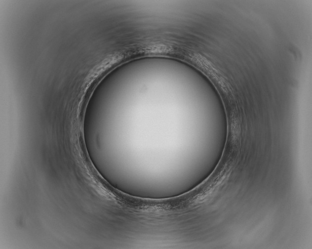 X0000110900721200906181322