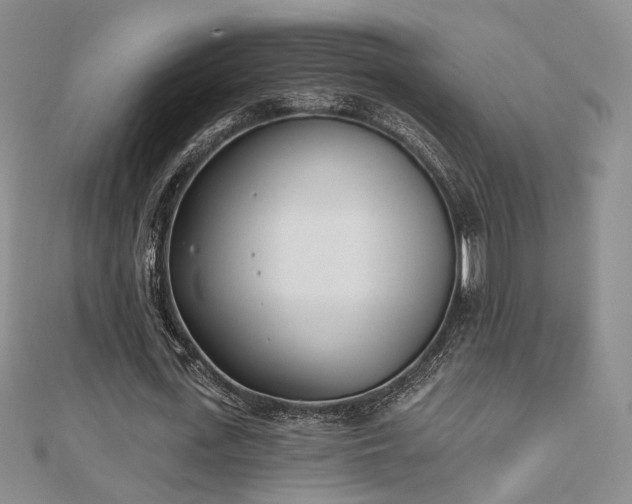 X0000110900723200906181322