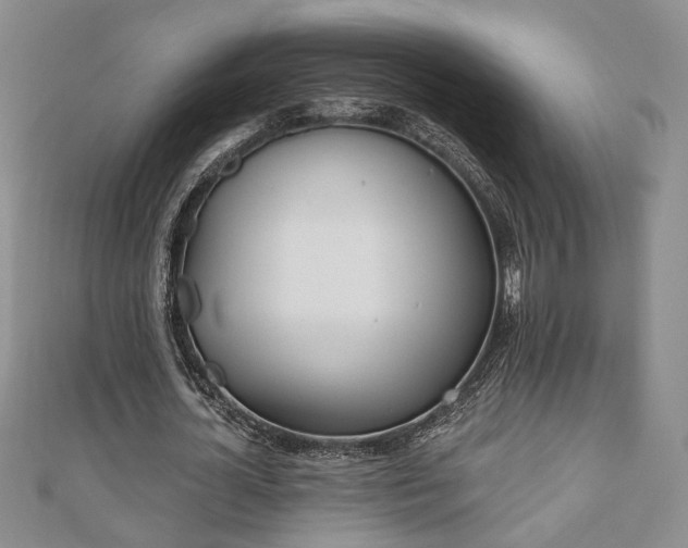 X0000110900724200906181322